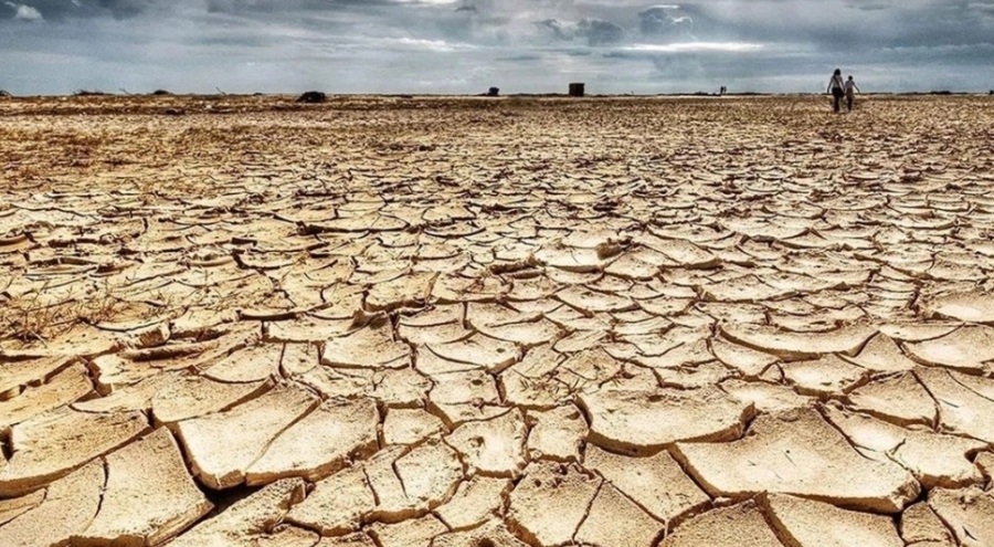 Çankırı Ziraat Odası Başkanı: Mutlaka kuraklık sigortası yaptırın