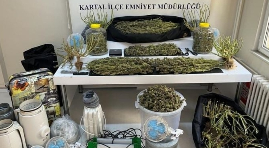 Evi uyuşturucu serasına çeviren zanlılar yakalandı