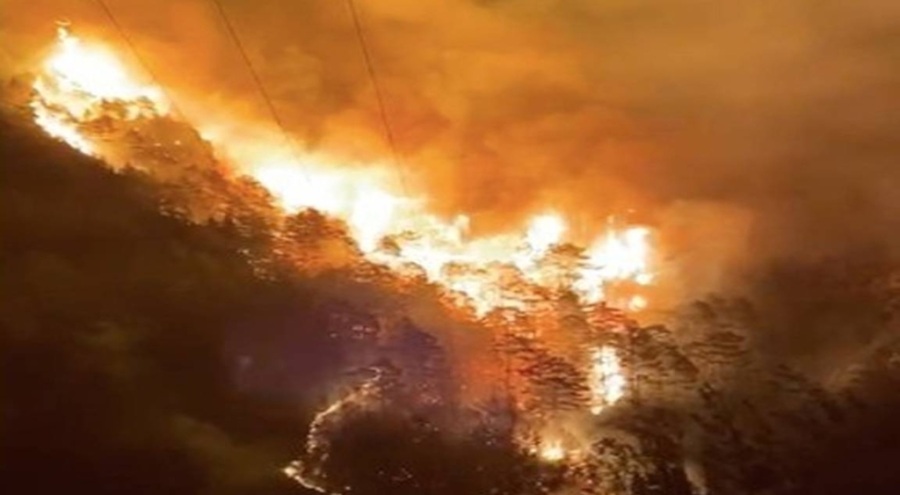 Alanya'da orman yangını