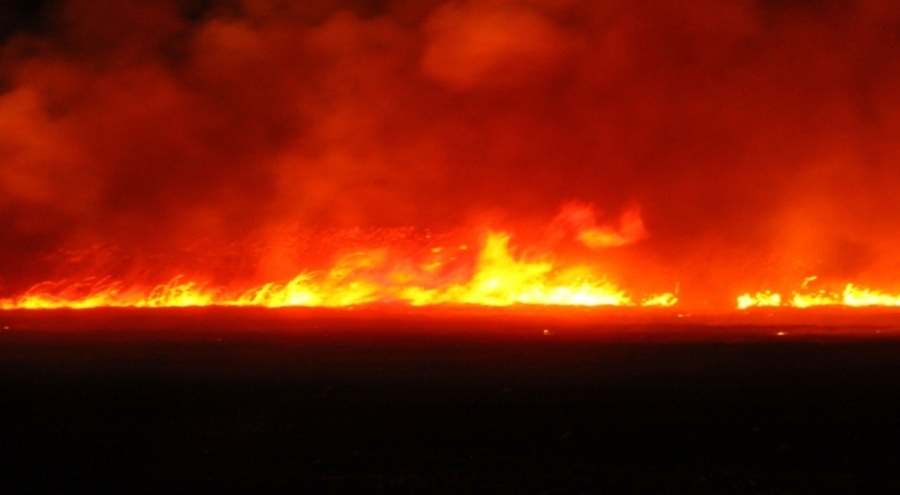 Beyşehir Gölü kıyısında sazlık yangını