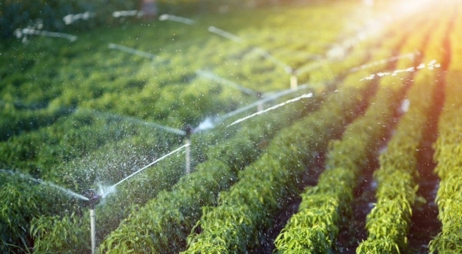 Su Verimliliği Seferberliği başlıyor