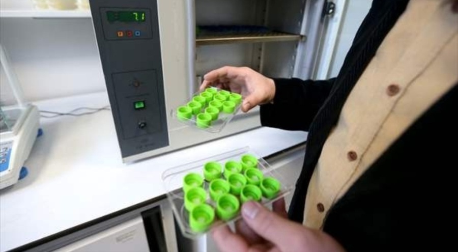 Bursa'da kemik hasarlarının tedavisini kolaylaştıracak proje geliştirildi