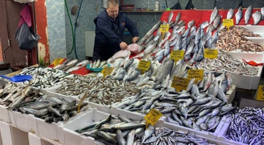 Havalar soğudu, balık tezgahlarında bolluk var