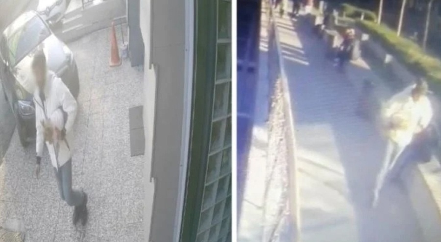 İstanbul'da 'cins köpek' hırsızlığına polis baskını