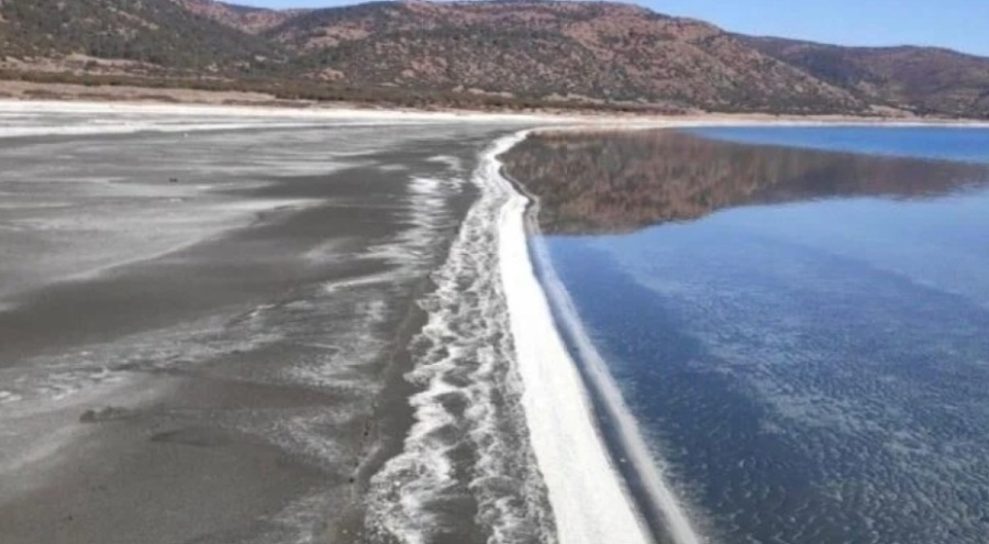 Uzmanlardan uyarı: Salda Gölü'nde doğal olmayan müdahalelerle ekosistem çökertiliyor
