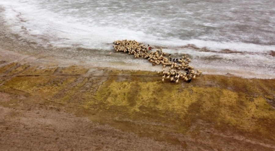 Tuz Gölü'nde kuraklıkla mücadele ediyor