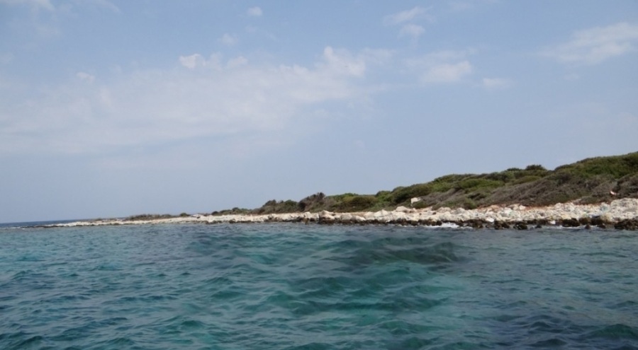 Bodrum'da satılık ada:  220 milyon 220 bin lira