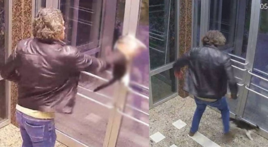 Kedilere tekme atan Aytuğ Koyuncu serbest bırakıldı