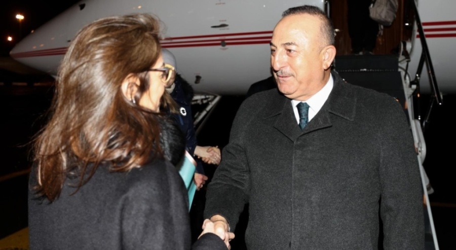 Dışişleri Bakanı Çavuşoğlu Estonya'da