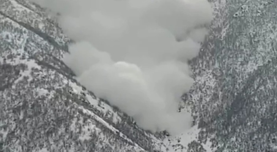 Hakkari'de çığ düştü