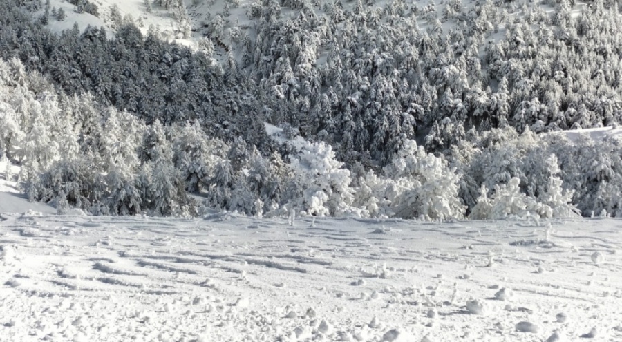 Kazdağları Milli Parkı ziyarete kapatıldı