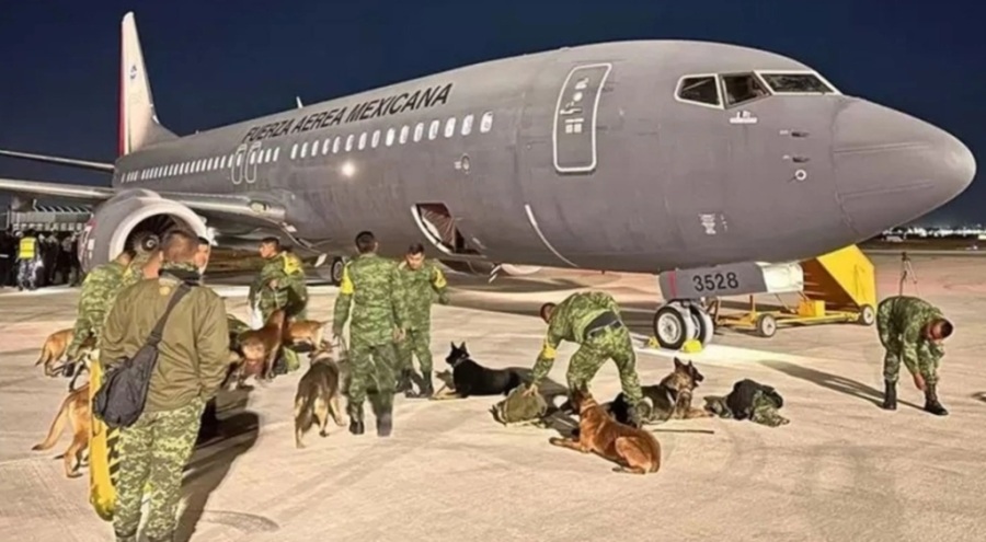 Meksika arama kurtarma köpeklerini Türkiye'ye gönderiyor