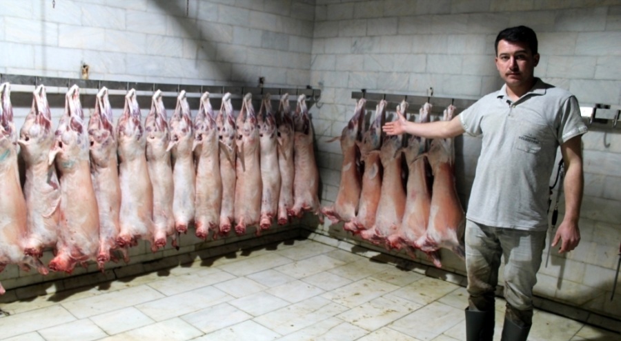 Bursa'da hayvan üreticileri kuzularını keserek bağış yapıyor
