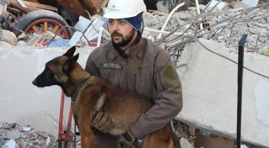 Arama kurtarma köpeği Tetik tek başına 15 can kurtardı