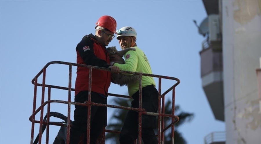 Enkaz çalışmaları süren binada mahsur kalan kedi kurtarıldı
