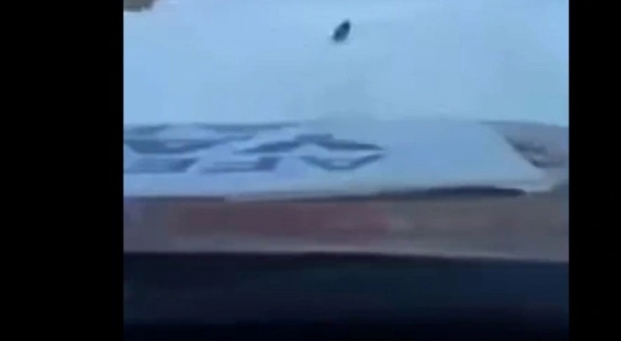 Deprem bölgesindeki köpek yol gösterdi, yardımlar ulaştırıldı