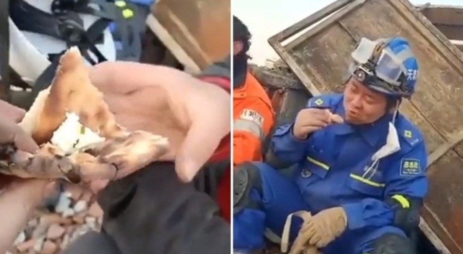 Türk ekipler Çin ekiplerine ekmek arası otlu peynir ikram etti