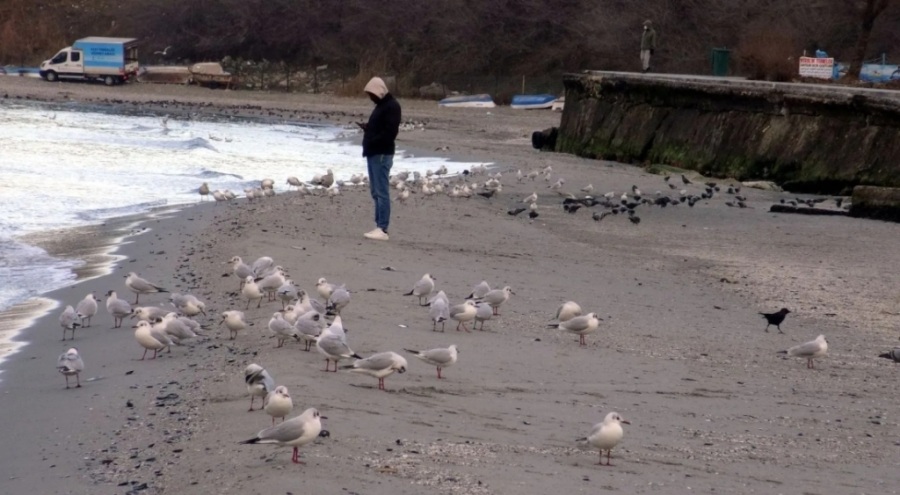 İstanbulluları endişelendiren görüntü: Deniz metrelerce çekildi