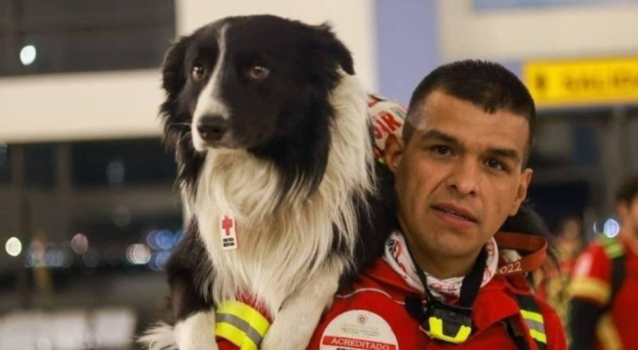 Arama kurtarma köpekleri nasıl eğitiliyor?