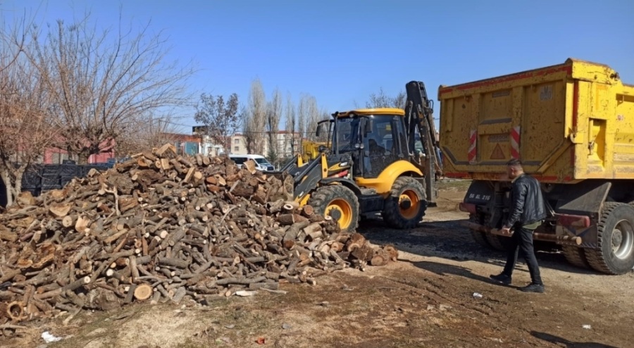 Siirt'ten deprem bölgesine 35 ton odun gönderilmeye başlandı