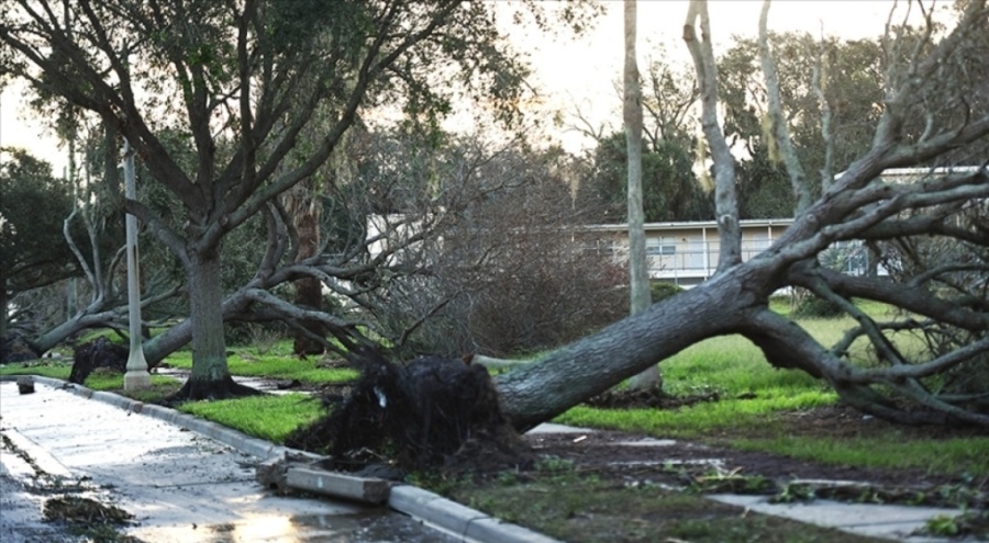 Yeni Zelanda'yı vuran Gabrielle kasırgasından sonra acil durum çağrısı