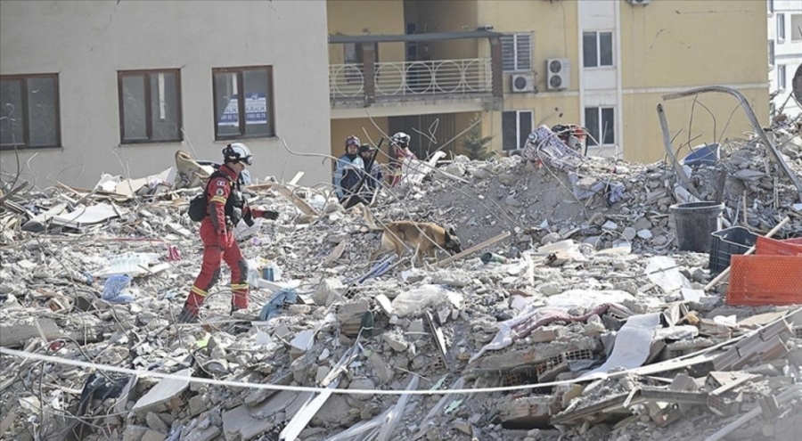 Fransız Afet Kurtarma Derneği Başkanı'ndan övgü dolu sözler