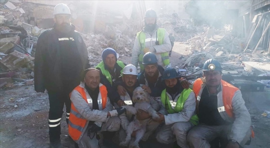 Hasar gören binada mahsur kalan köpek madenciler tarafından kurtarıldı