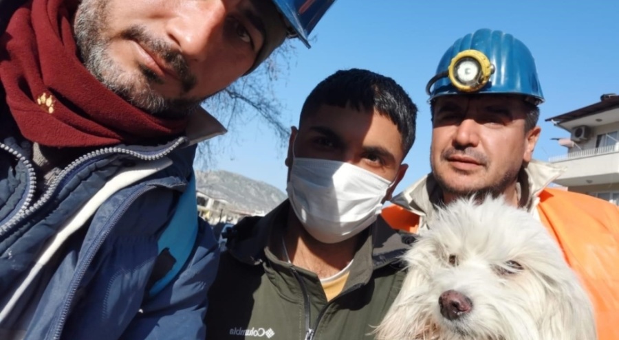 Ponti 203'üncü saatte kurtarıldı