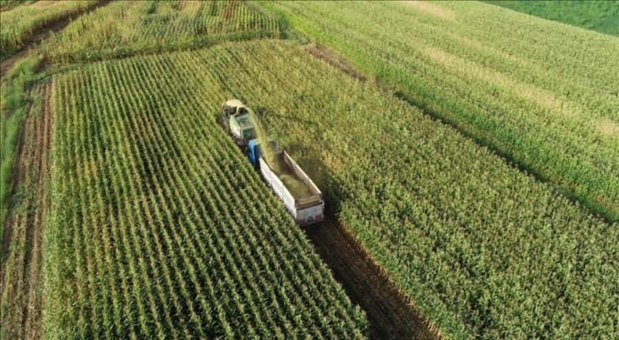 Kırsal kalkınma desteği ve ürün güncelleme başvurularında süre uzatma kararı