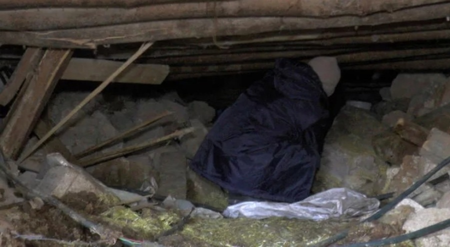 Sürünerek girip enkazın altındaki ineğini besliyor