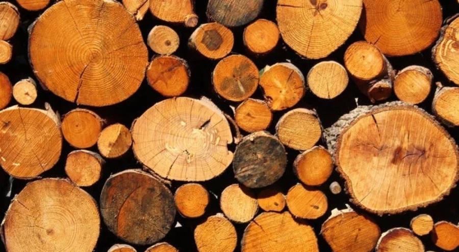 Bakanlık depremzedelere yakacak odun temin etti