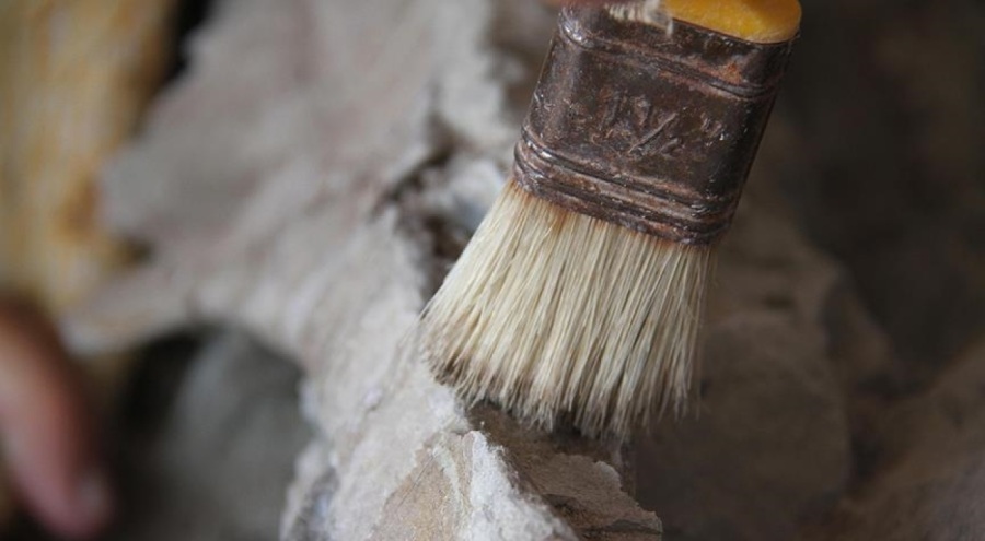 Suudi Arabistan'da İslamiyet öncesi döneme ait yazıtlar, yüzük ve boğa başı bulundu