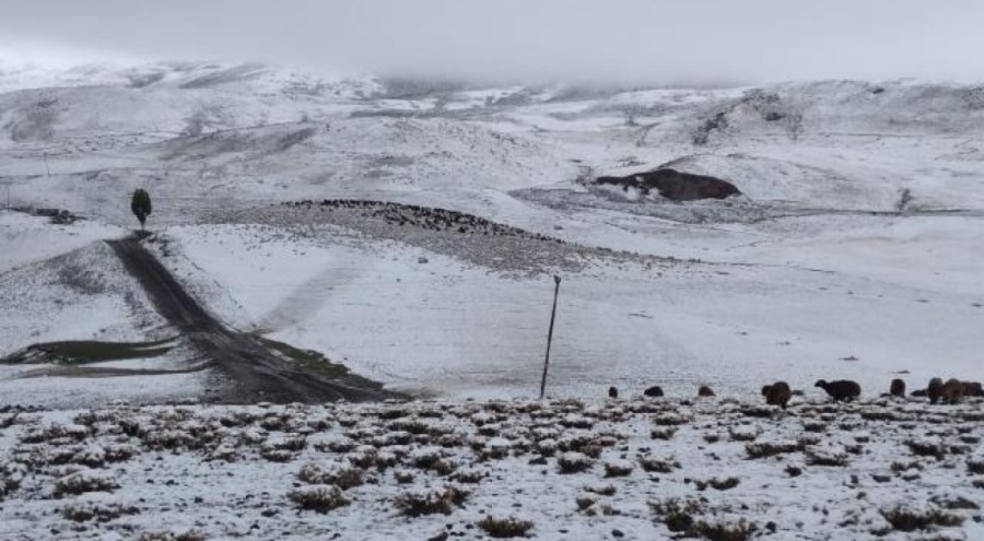 Doğu Anadolu buz kesti: En düşük sıcaklık Ağrı'da