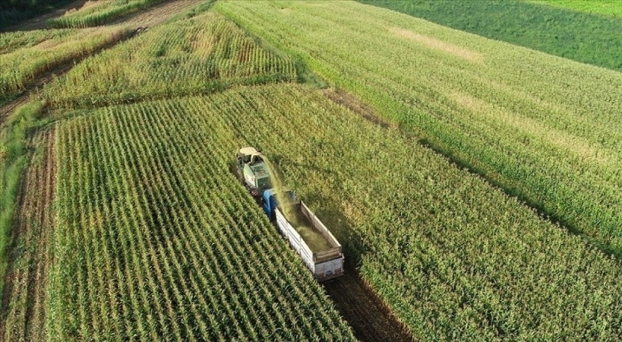 Çiftçilere yaklaşık 49,5 milyon liralık destek ödemesi bugün hesaplara aktarılacak