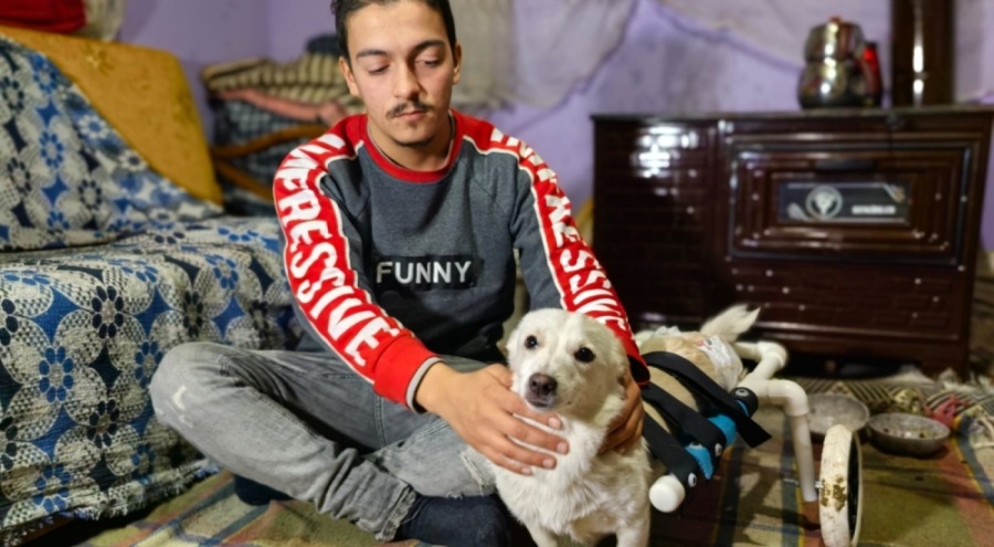 Bursa'da engelli köpeğe, plastik su borularından yürüteç
