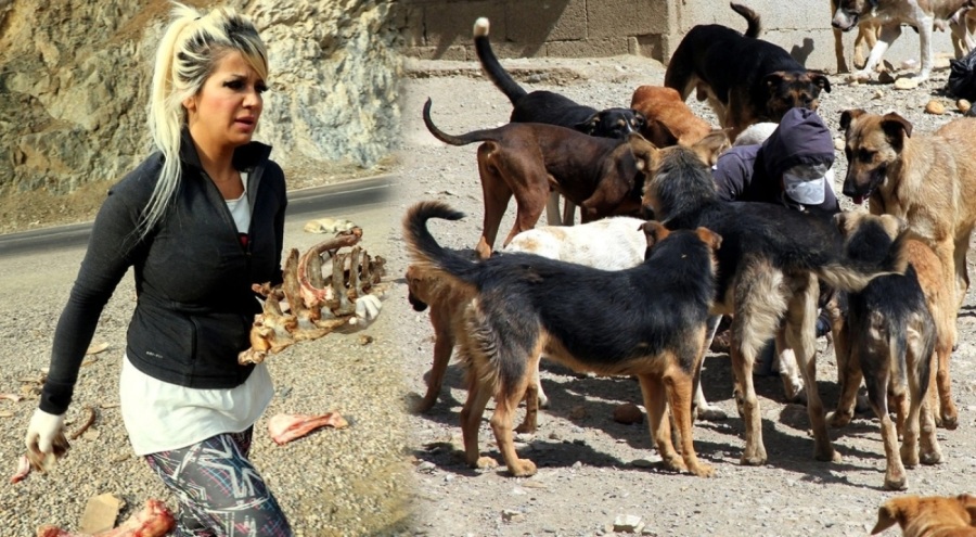 Hayvansever Eda öğretmen de depremde hayatını kaybetti