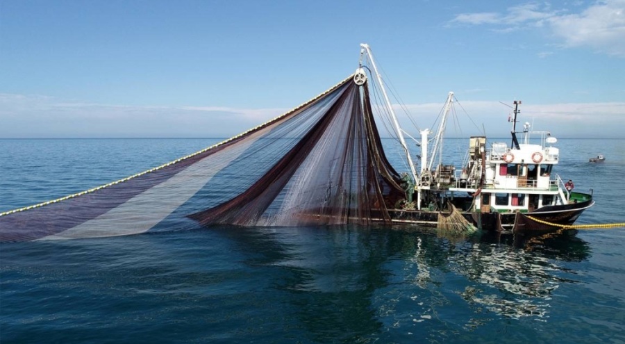 Boğazlarda ve Marmara Denizi'nde 'hamsi avcılığı' durdurulacak