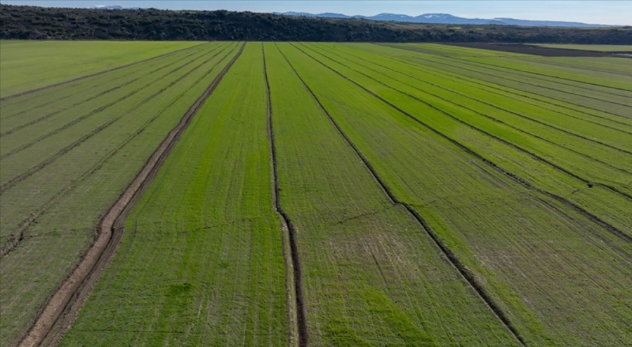 Deprem bölgesindeki ürün miktarında göç belirleyici olacak