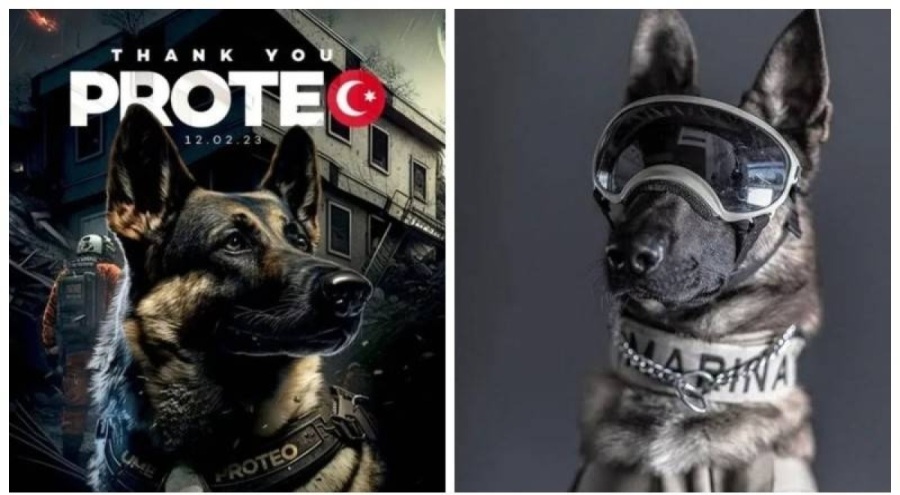 Arama kurtarma çalışmaları sırasında hayatını kaybeden Proteo'nun heykeli dikilecek