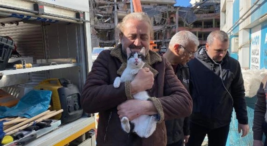 Galeria Sitesi'nde kurtarılan kedi sayısı 12'ye yükseldi