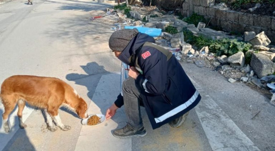 Afet bölgesindeki can dostlara Bursa'dan şefkat eli