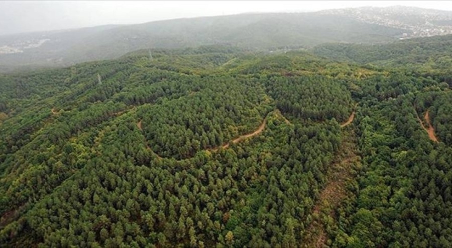 Deprem bölgesinde orman ve meralar yapılaşmaya açıldı