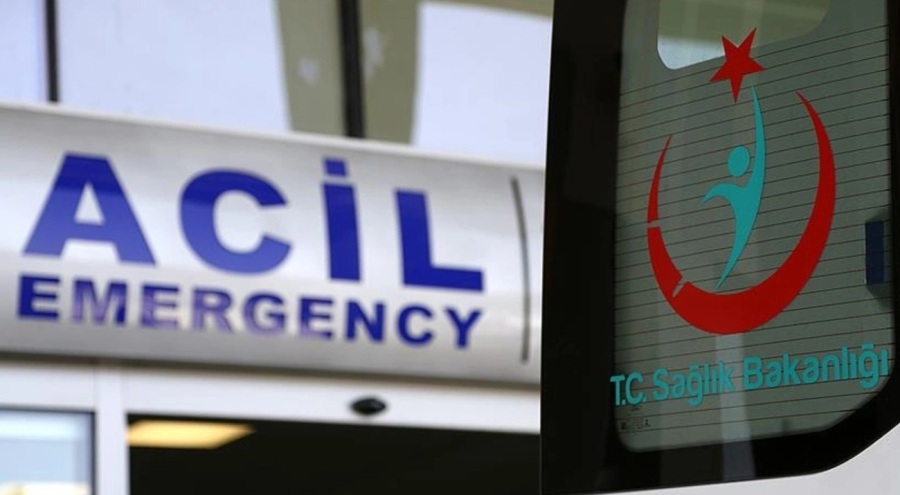 Sakarya'da kestiği ağacın altında kalarak hayatını kaybetti