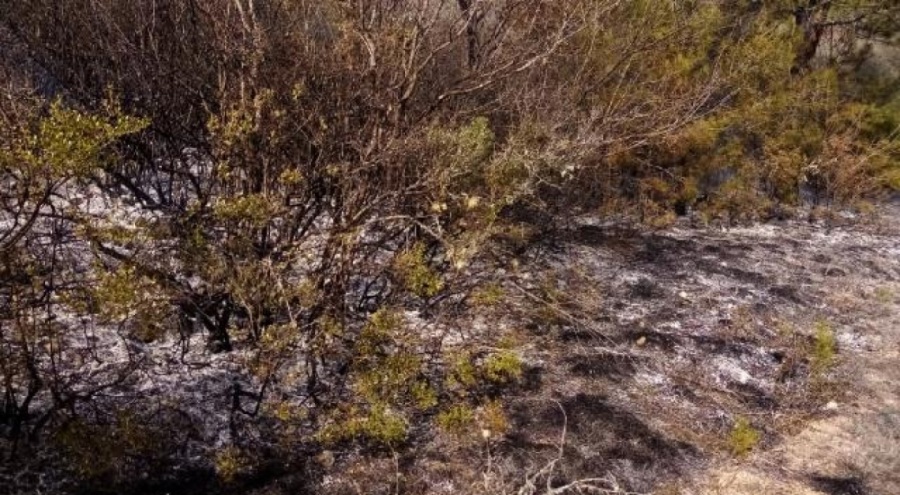 Karabük Ovacık ilçesinde örtü yangını