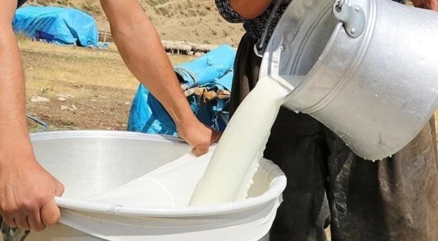 Çiğ süt desteği ödemelerine ilişkin esaslar açıklandı