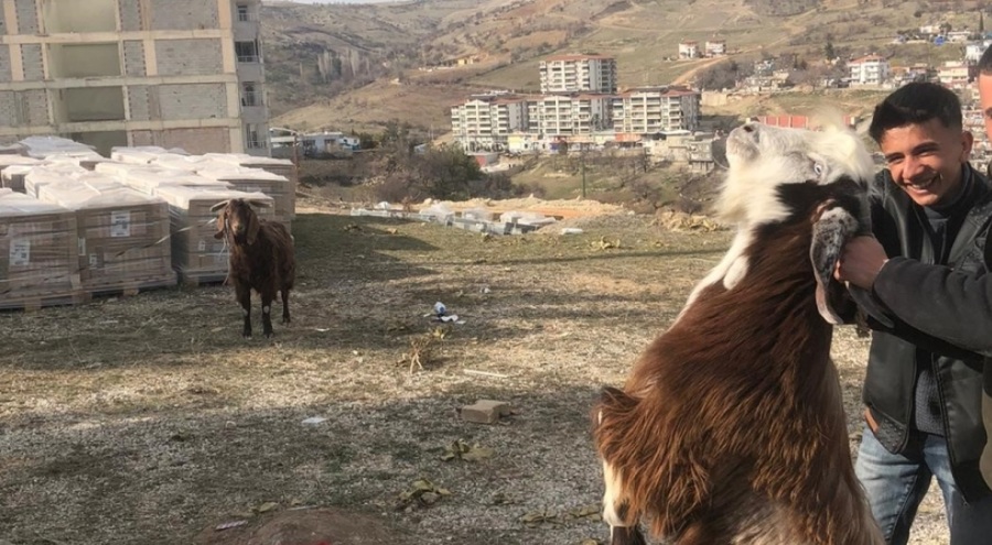 İki keçi 21 gün sonra kurtarıldı