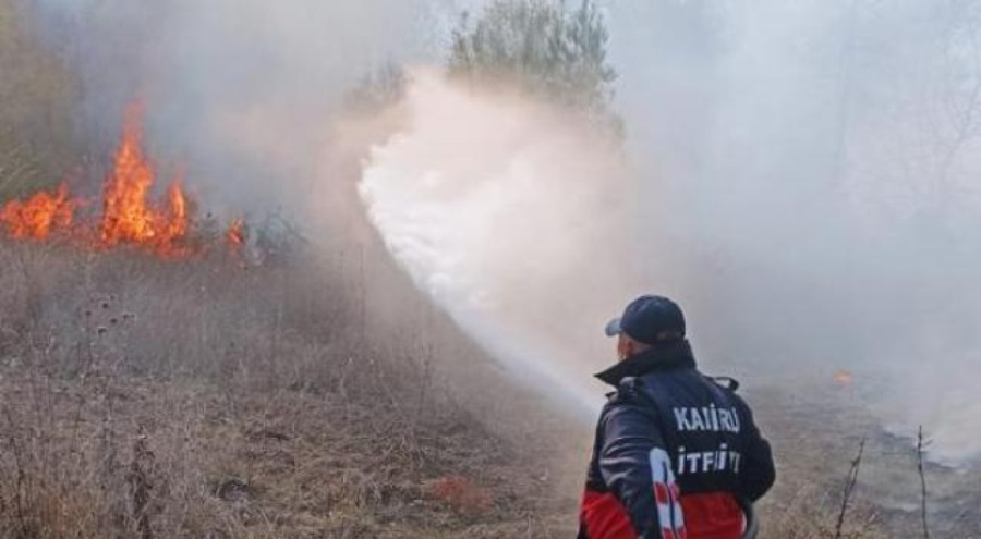 Osmaniye'de orman yangını