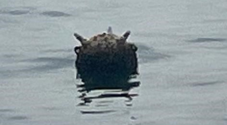 Karadeniz'de mayın paniği