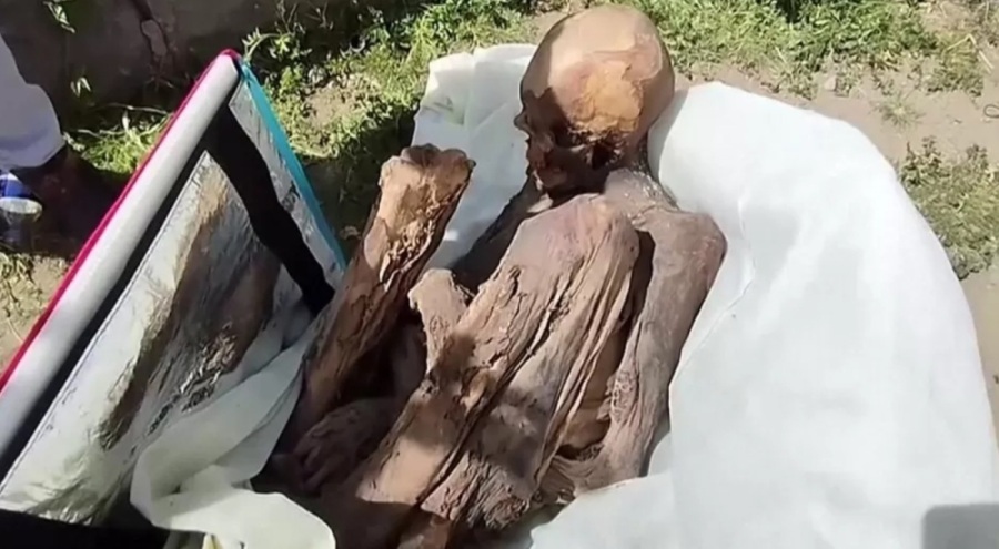 Kuryenin soğutucu çantasından 600-800 yıl önce yaşamış mumya çıktı!