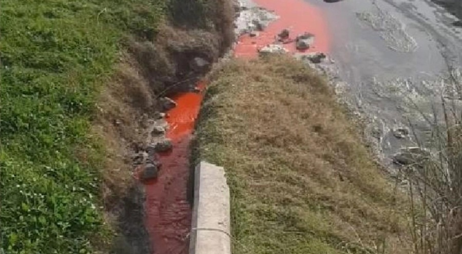 Derenin rengi dökülen atık sebebiyle kırmızıya döndü, ekipler harekete geçti!